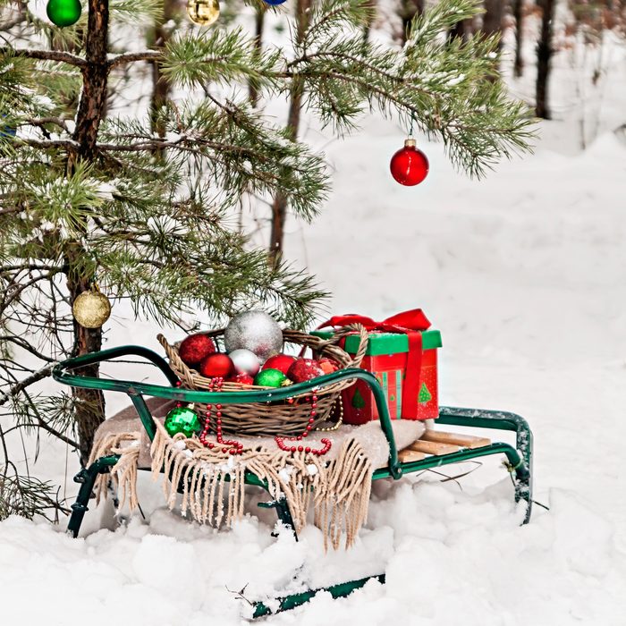 decorated Christmas tree in a snowy forest, sledges, blanket and a basket of toys.