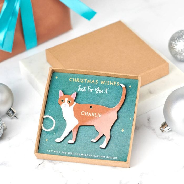 Personalized Cat Christmas Ornament Ecomm Etsy