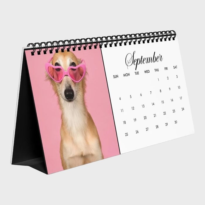 Personalized Dog Calendar
