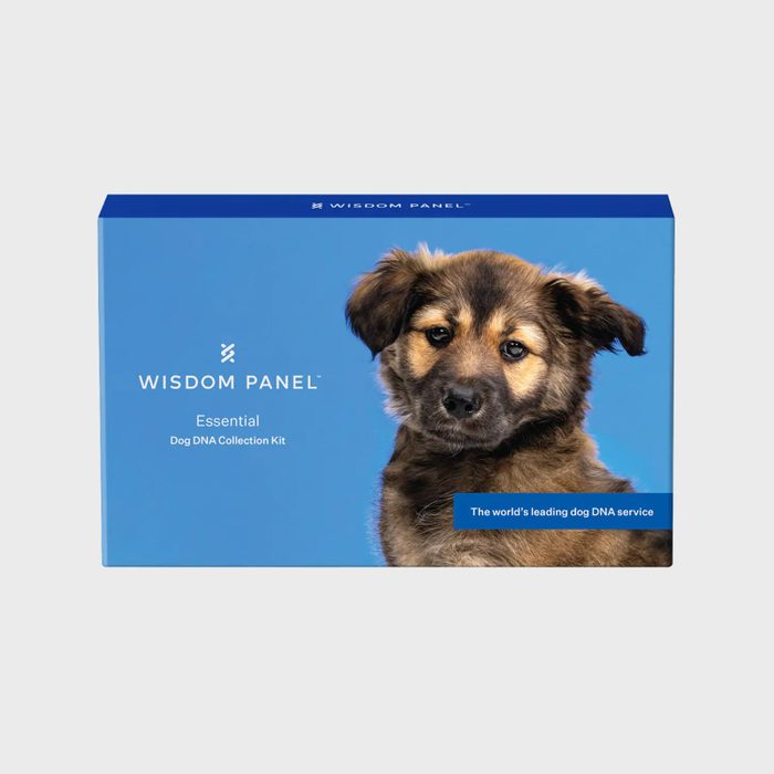 Wisdom Panel Dog DNA Test