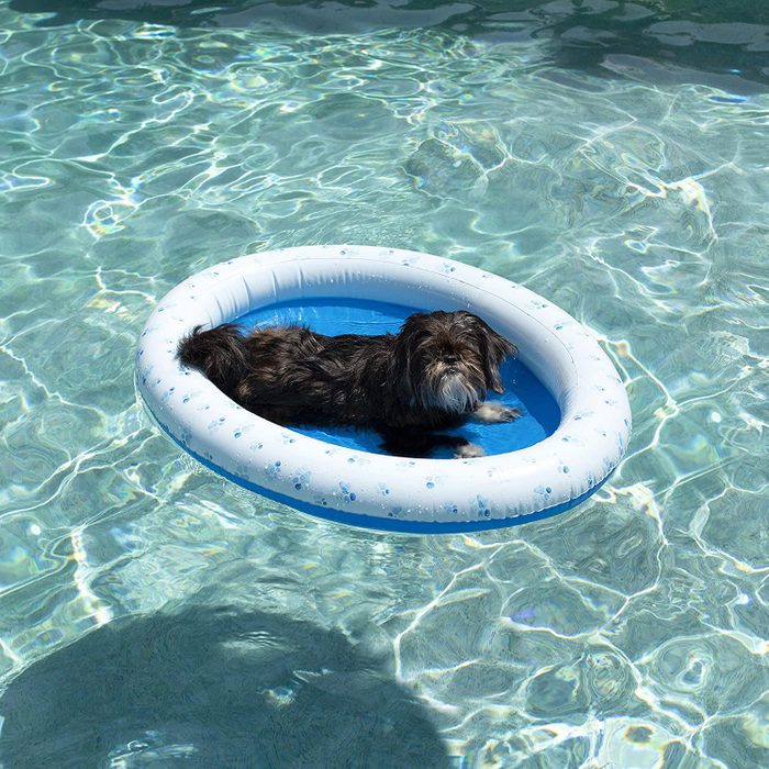 Dog pool Raft
