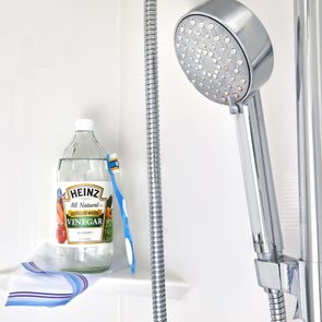how to clean your shower ehad