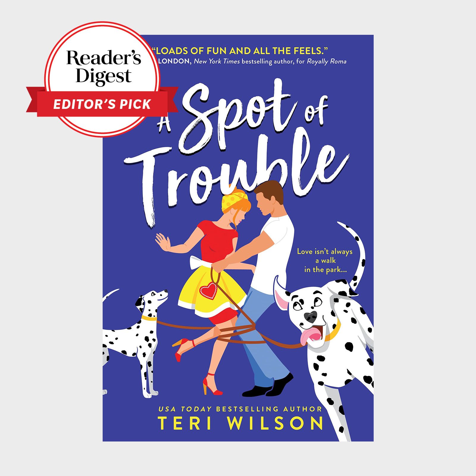 A Spot Of Trouble Book