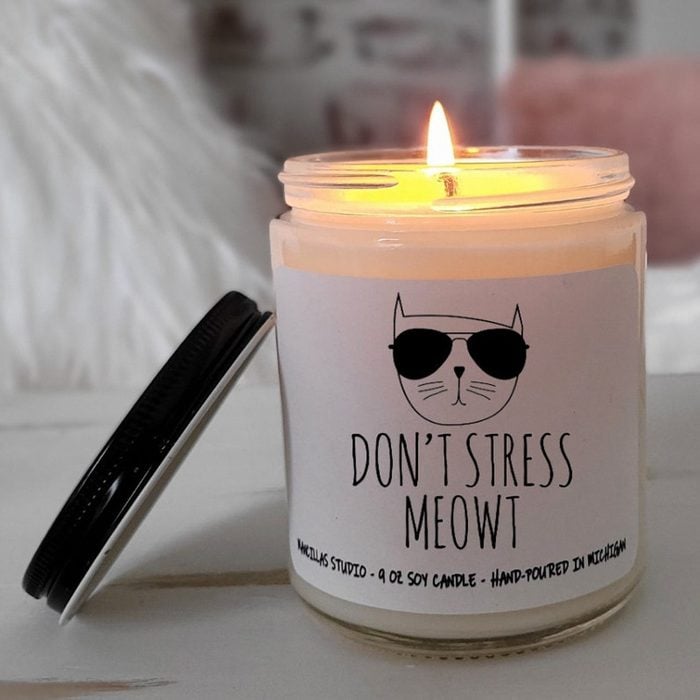 Don't Stress Meowt Soy Candle