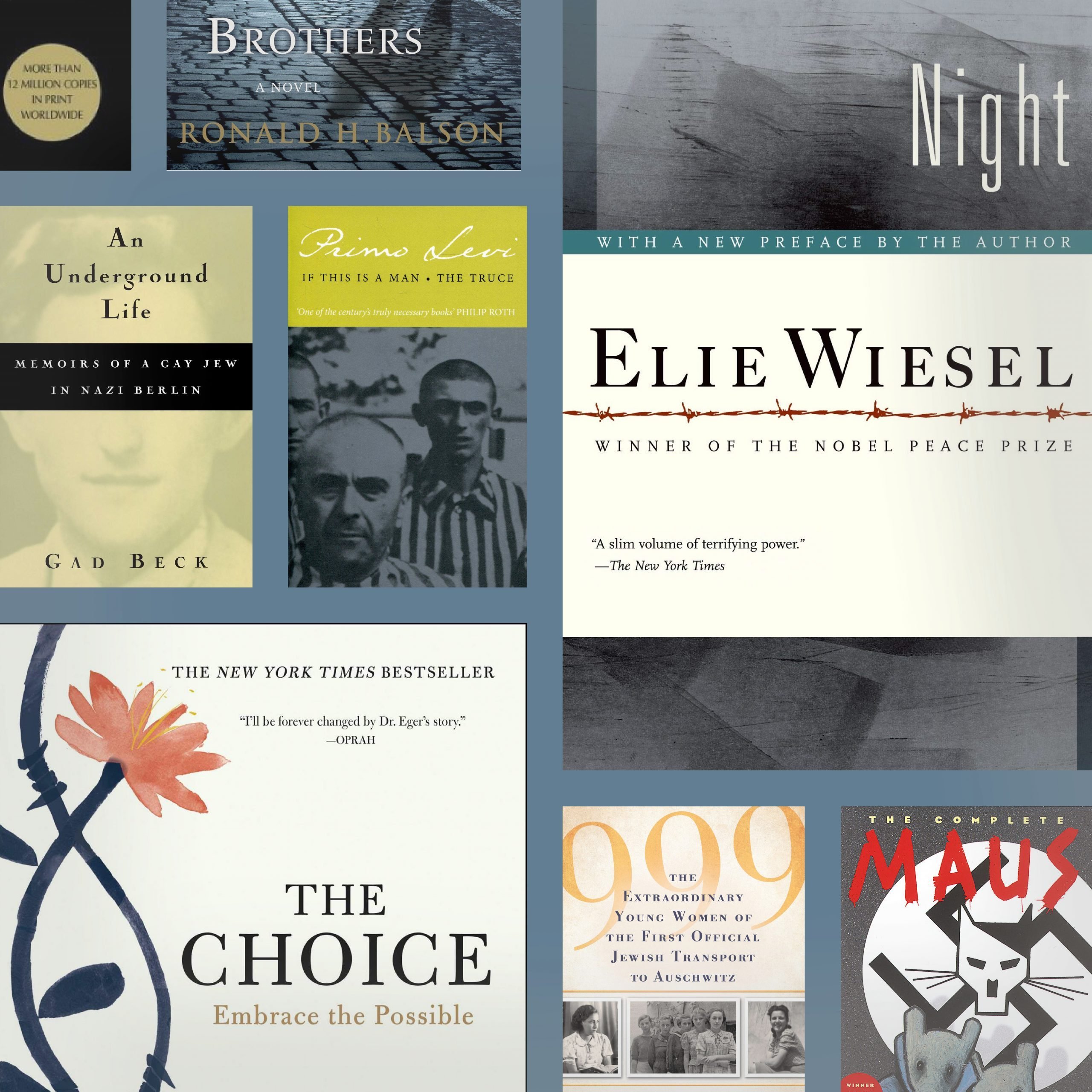 12 libros imprescindibles sobre el Holocausto en 2021 - Libros sobre supervivientes del Holocausto