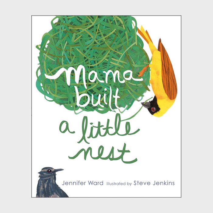 Mama Built A Little Nest Book