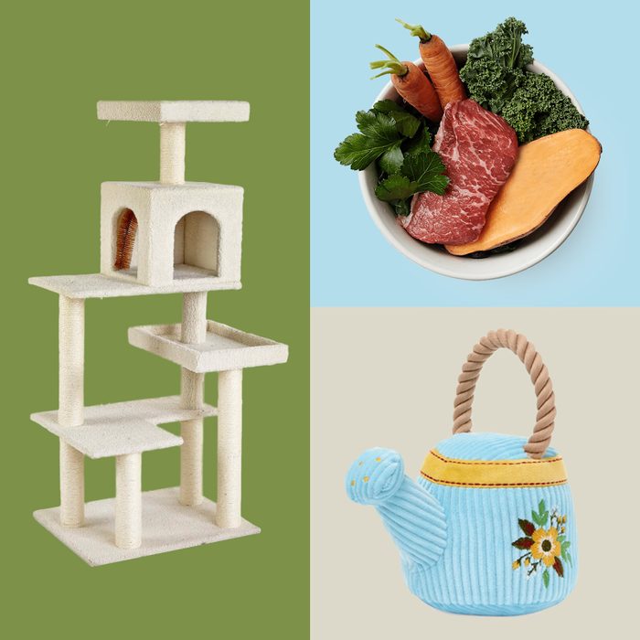 Pet Products Collage