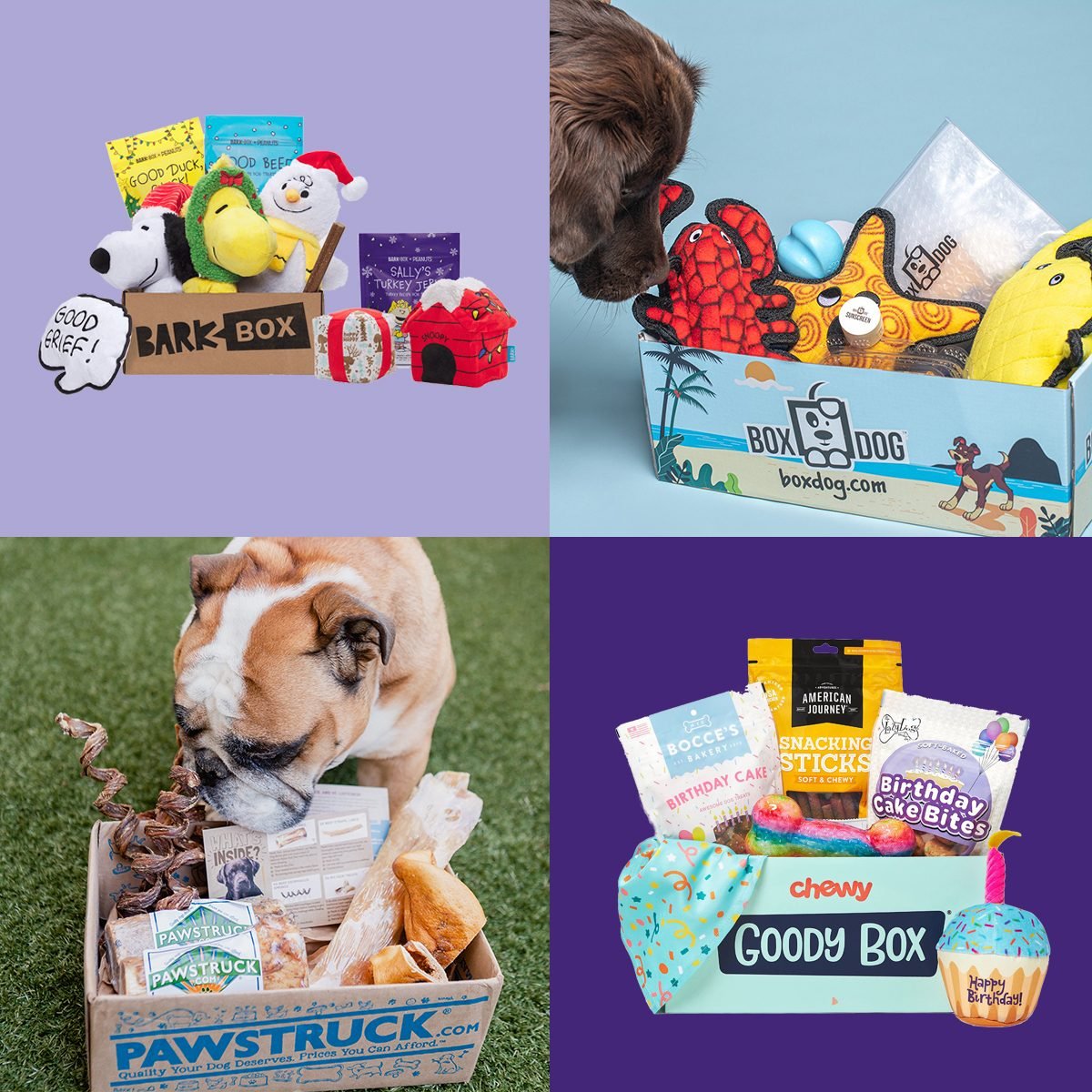 Las 8 mejores cajas de firmas para perros: Cajas de firmas para mascotas
