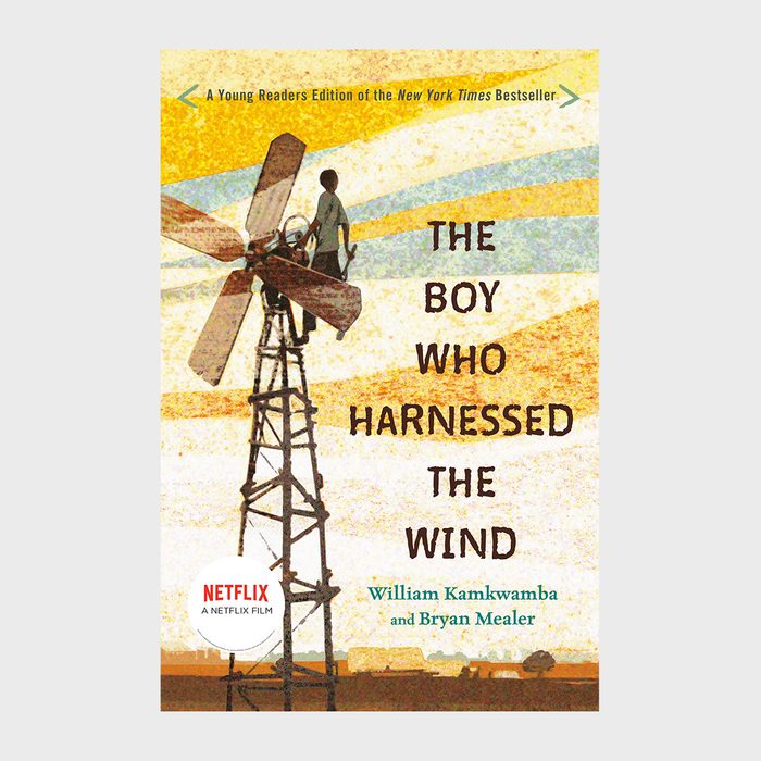The Boy Who Harnessed The Wind Book