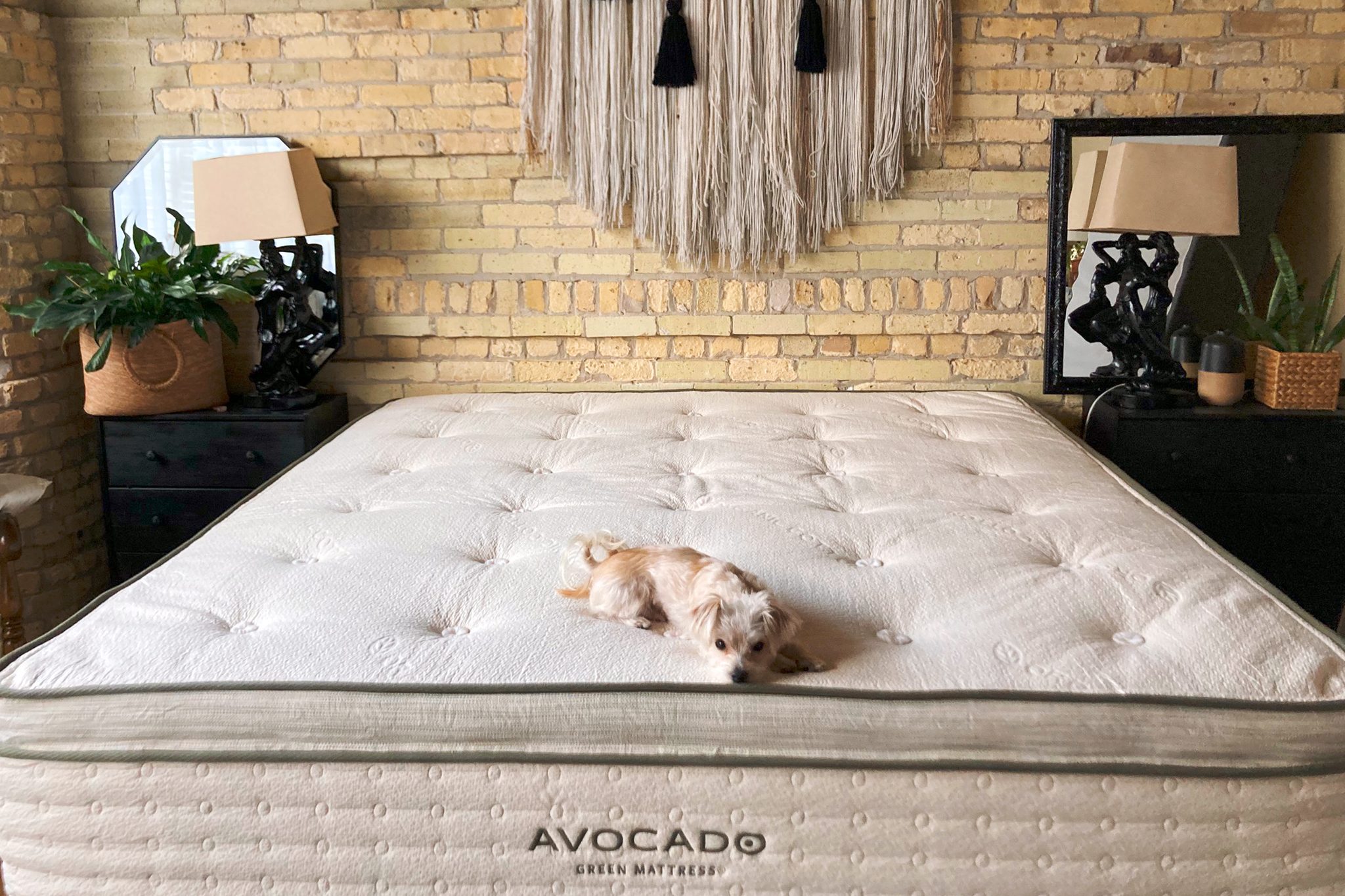 avocado_green_mattress_review