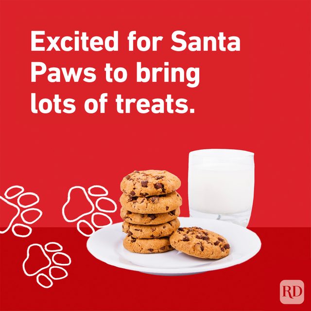 "Excited for Santa Paws to bring lots of treats." Pawprints leading to milk and cookies