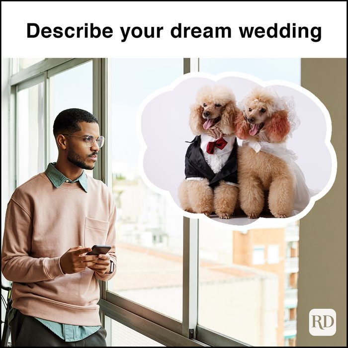 Handsome young man looking through window thinking about dogs getting married