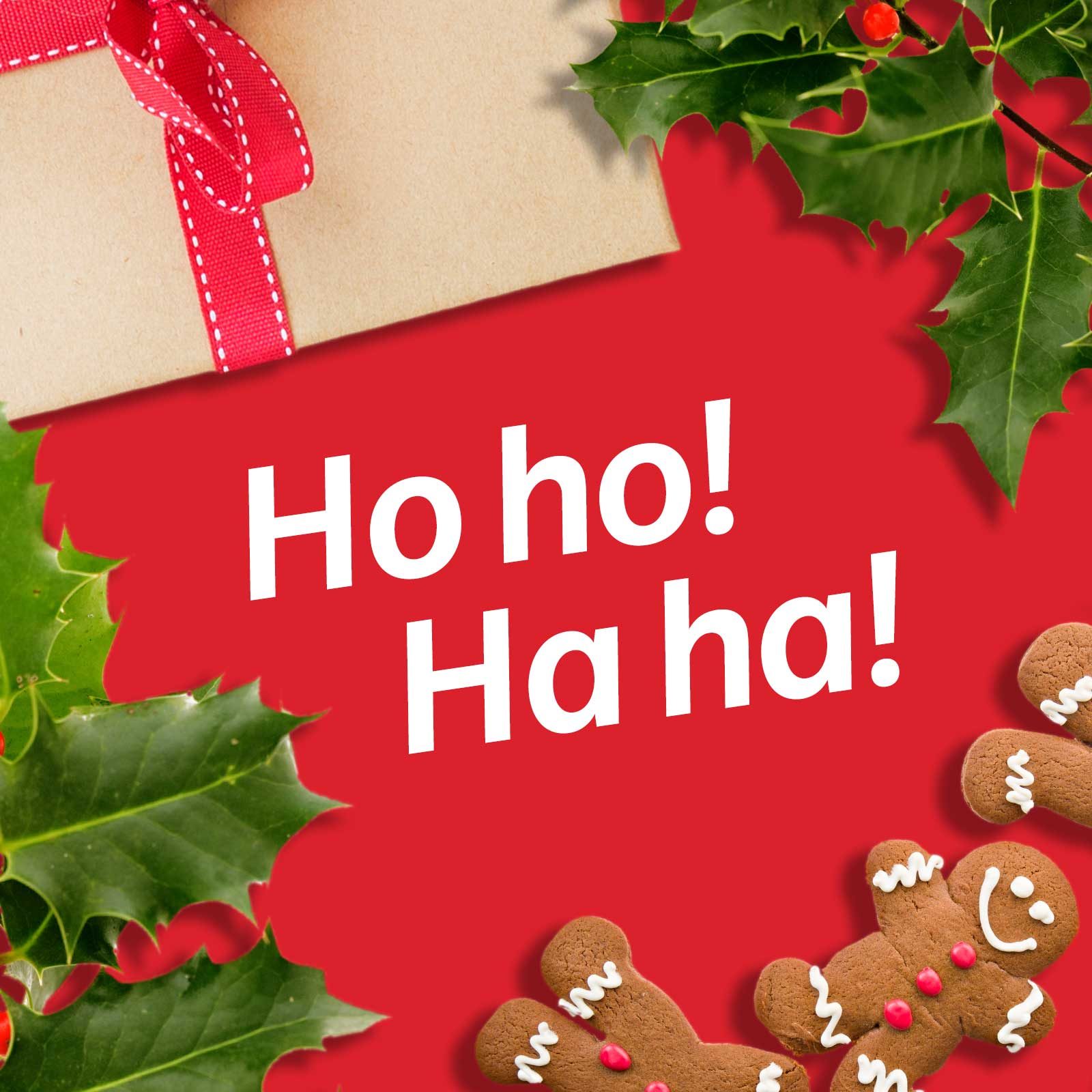 10 Funny Christmas Gifts for the 2023 Holiday Season