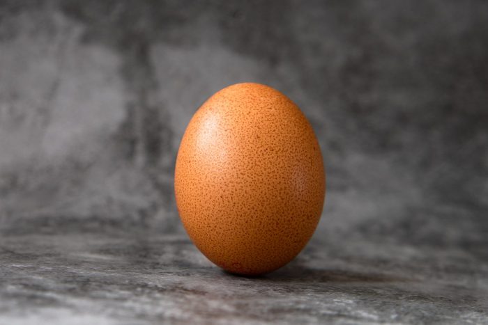 One brown egg on marble background