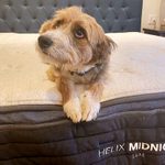 Helix Midnight Luxe Mattress Review: How It Helped My Back Pain