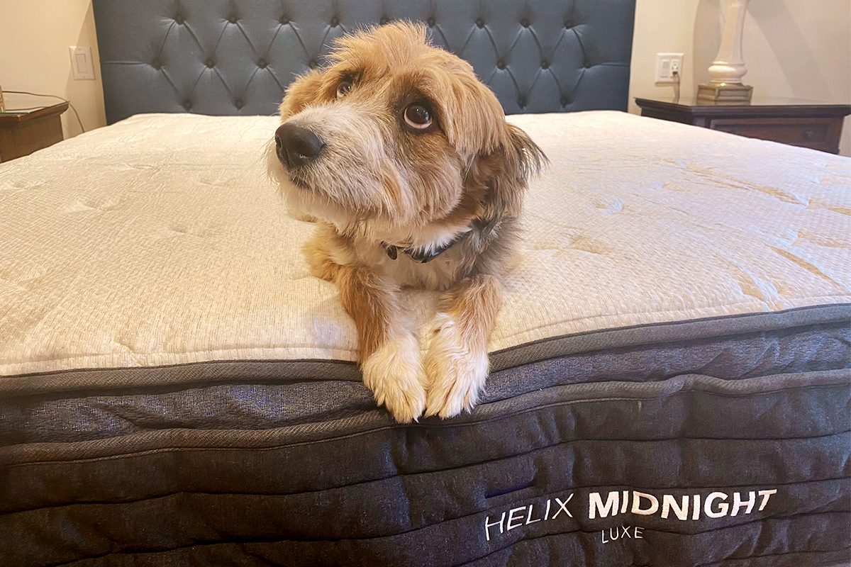 the luxe mattress review