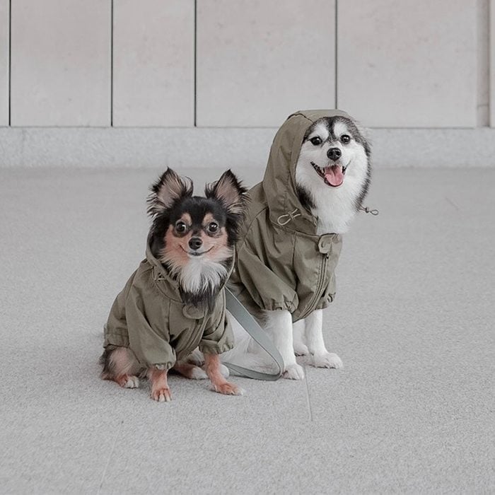 Lambwolf Collective Brooklyn Fern Packable Dog Coat