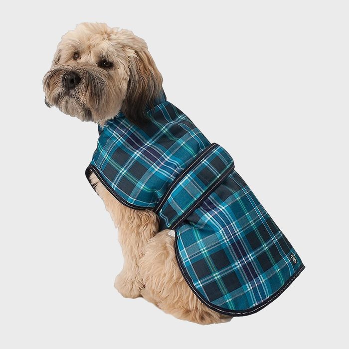 Petrageous Designs Kodiak Dog Coat