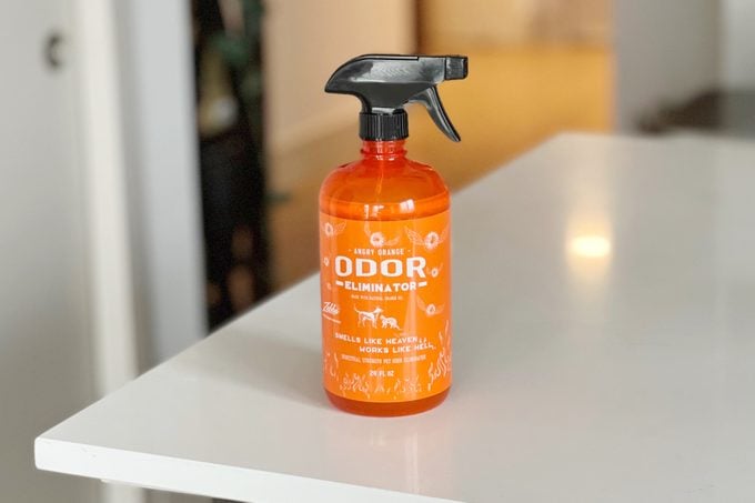 Product Shot of Angry Orange Pet Odor Eliminator on a counter top