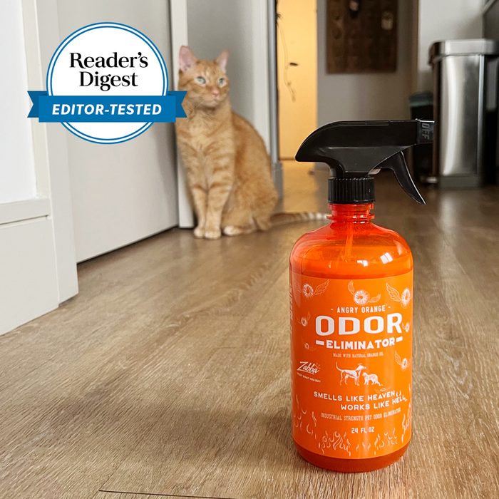 Editors Tested Angry Orange Pet Odor Eliminator