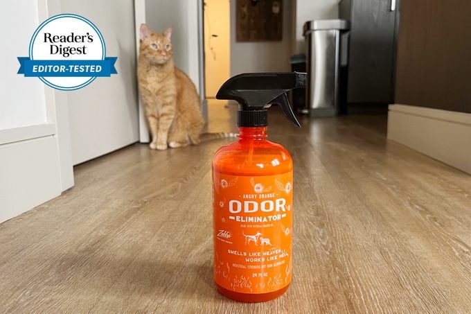 Editors Tested Angry Orange Pet Odor Eliminator
