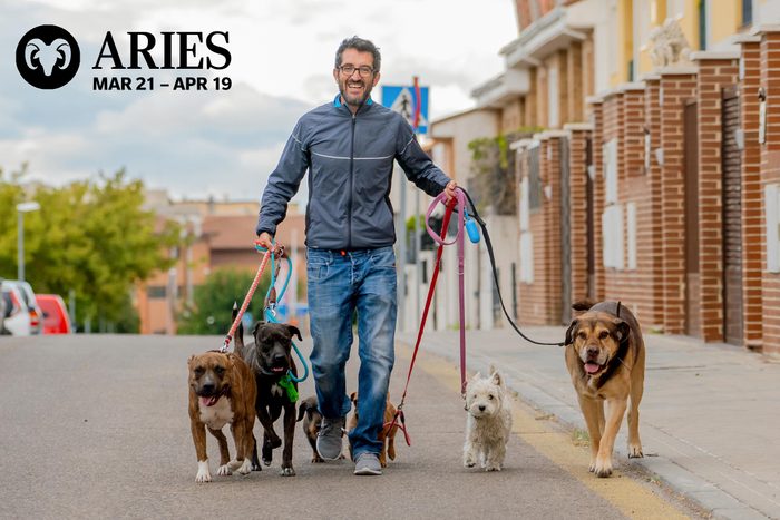 man walking many dogs on a street