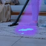 This UV Flashlight Urine Detector Helps You Find (and Clean Up) Dog Messes