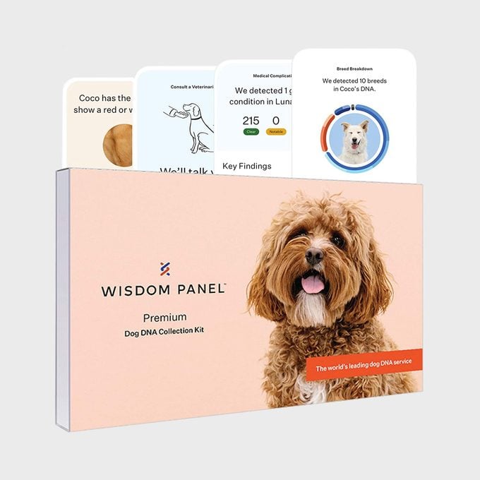 Wisdom Panel Premium Dog Dna Test