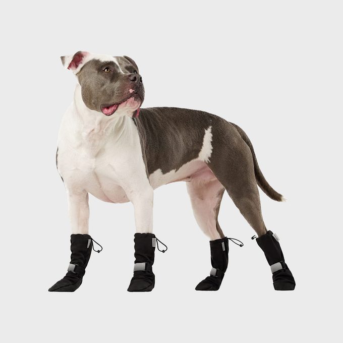 Canada Pooch Sheild botas suaves para perros