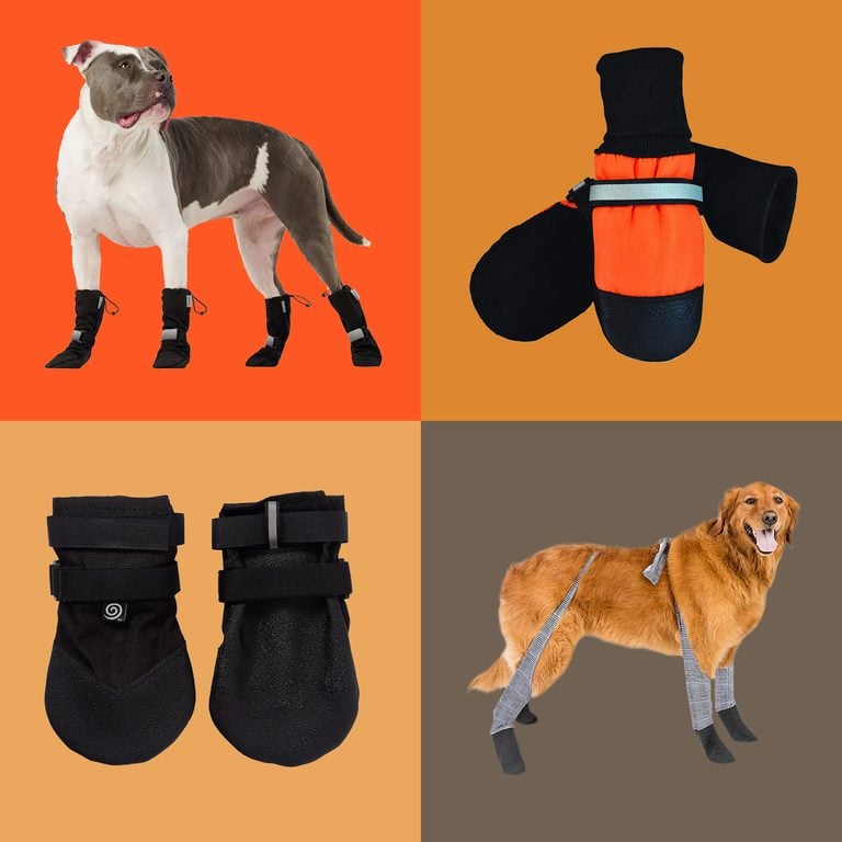 The Best Dog Boots for Winter 2023, According to a Pet Expert | Trusted ...
