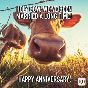Holy Cow Weve Been Married A Long Time Happy Anniversary Meme