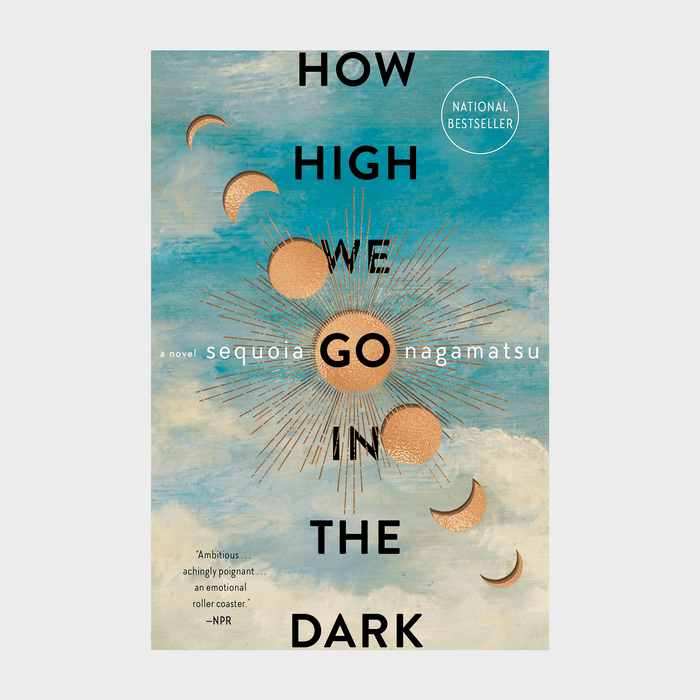 How High We Go In The Dark Ecomm Via Bookshop.org
