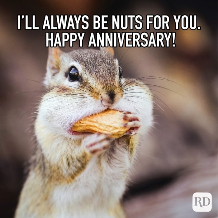 Ill Always Be Nuts For You Happy Anniversary Meme
