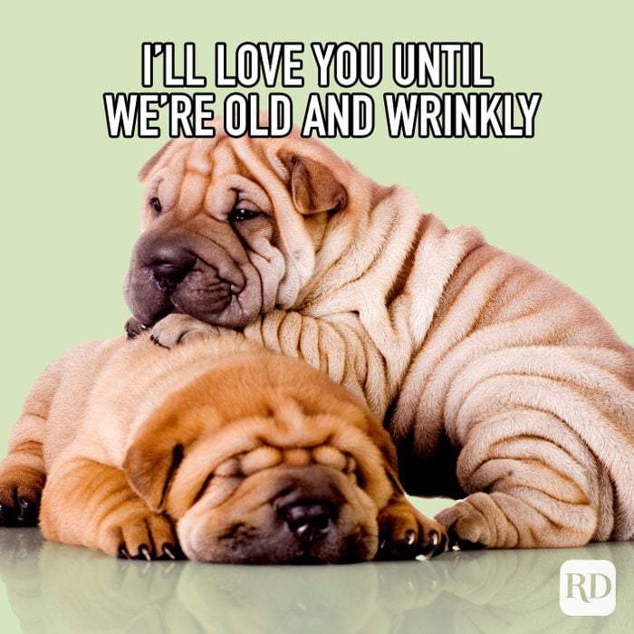 Ill Love You Until Were Old And Wrinkly Meme