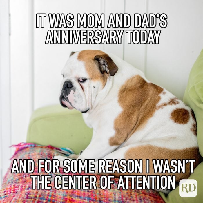 It Was Mom And Dads Anniversary Today And For Some Reason I Wasnt The Center Of Attention Meme