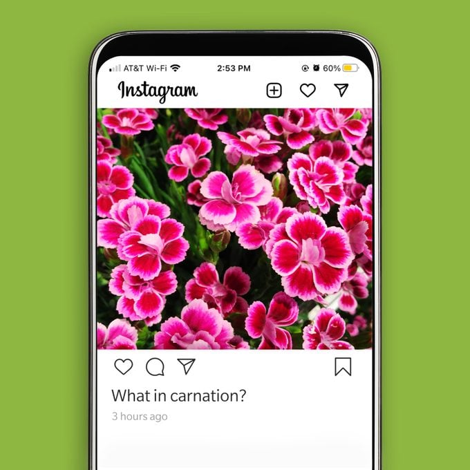 Spring Instagram Captions 2