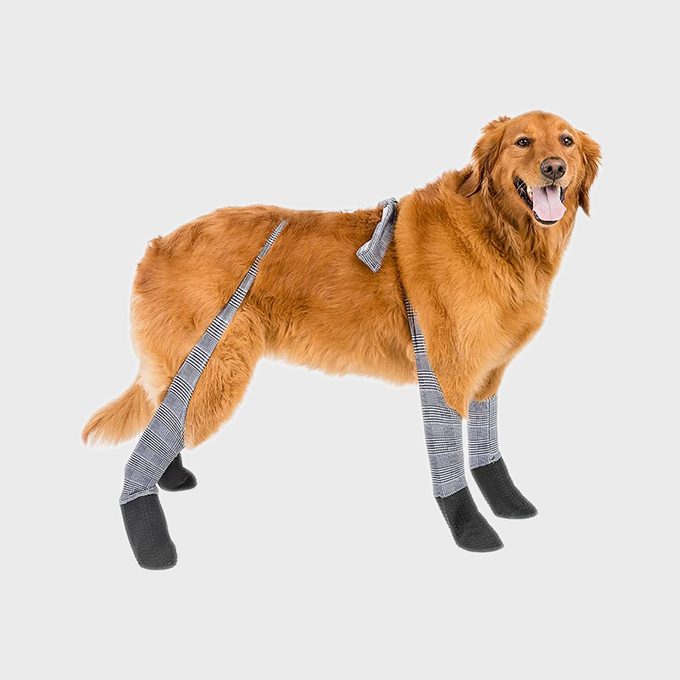 Walkee Paws Dog Leggings