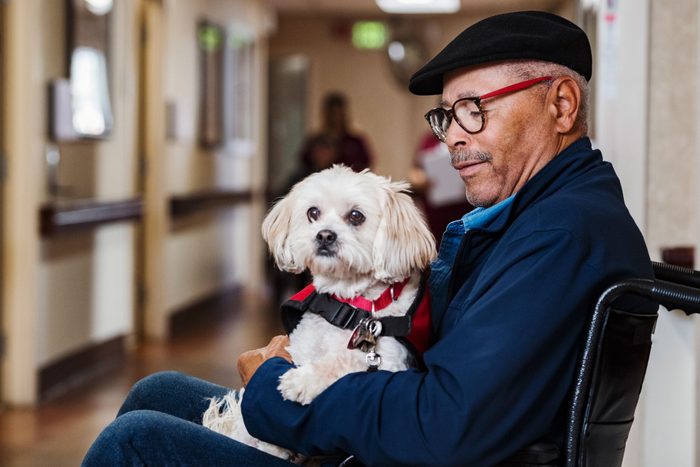 Senior man holding service dog in wheelchair