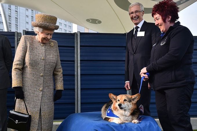 La reina y el duque de Edimburgo visitan el hogar de perros y gatos de Battersea