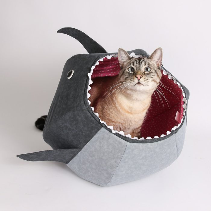 Great White Shark Cat Ball