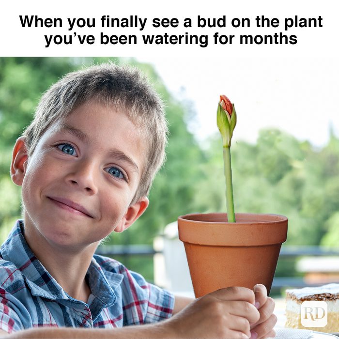 When You Finally See A Bud On The Plant You’ve Been Watering For Months 