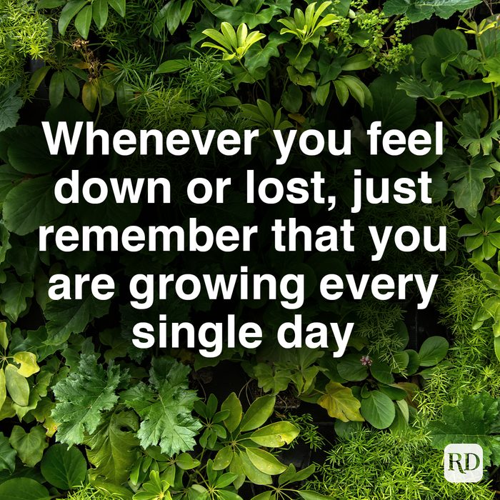 Whenever You Feel Down Or Lost, Just Remember That You Are Growing Every Single Day