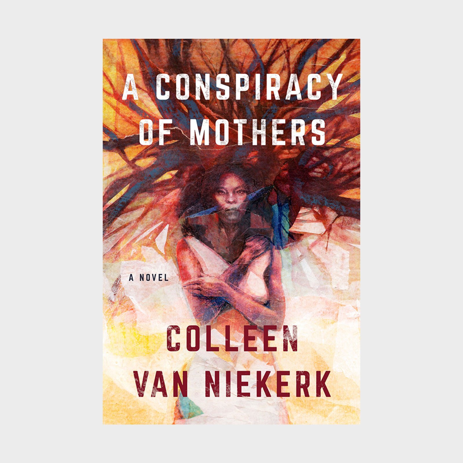 A Conspiracy Of Mothers Van Niekerk