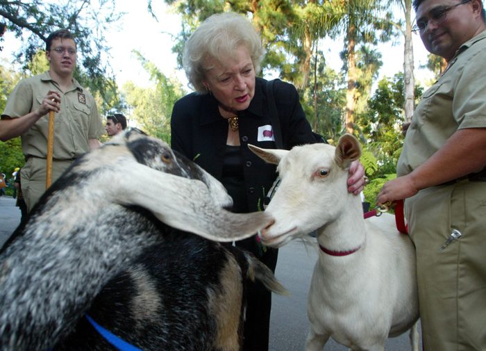 Actress Betty White meets some of the goats during the LA Zoo's Annual Beastly Ball fundraiser Satur