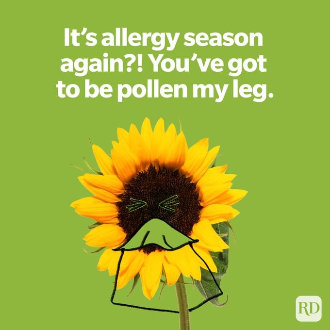 Allergy Season Spring Joke