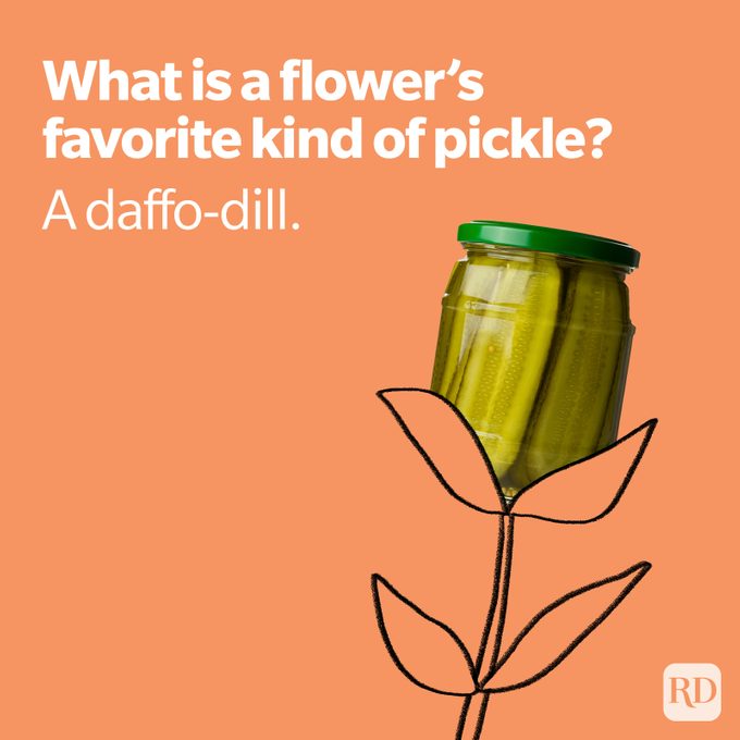 Daffodil Spring Joke