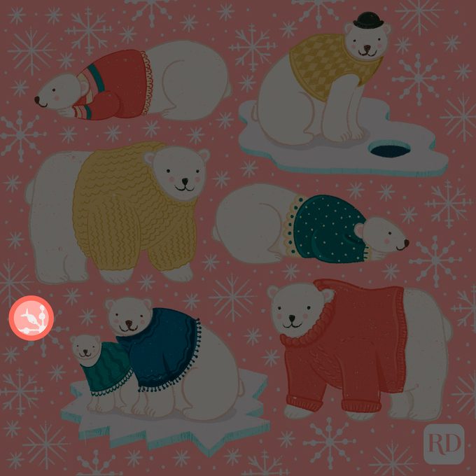 Find The Hidden Fish among the snowflakes and polar bears illustration answer