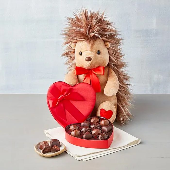 Harry & David Quill You Be Mine Plush Porcupine