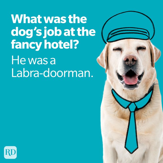 Labradorman Dog Joke