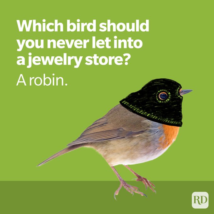 La broma de primavera de Robin